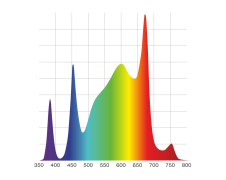 Nyota Neutron 800 Вт Светодиодный светильник LED